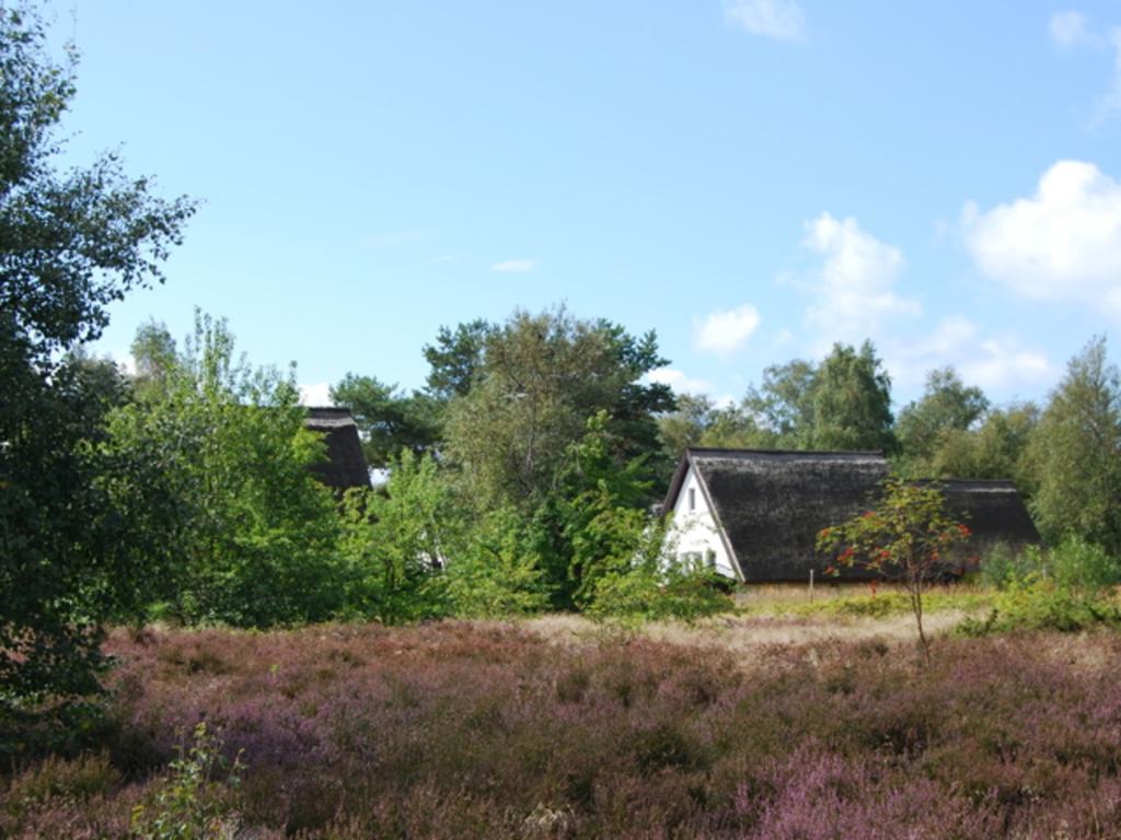 Doppelhaushaelfte In Vitte Auf Hiddensee エクステリア 写真