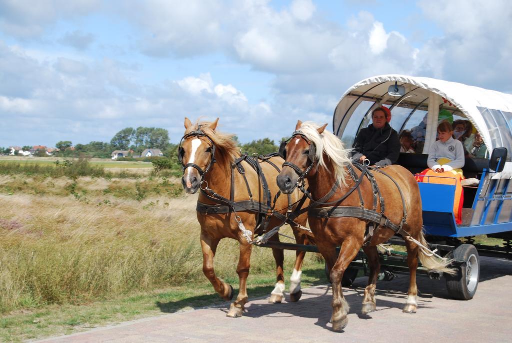 Doppelhaushaelfte In Vitte Auf Hiddensee エクステリア 写真